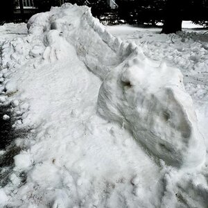 snowdragon.jpg