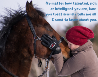 No-matter-how-talented-rich-or-intelligent-you-are-how-you-treat-animals.png