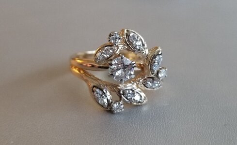 20190329_073117.jpg