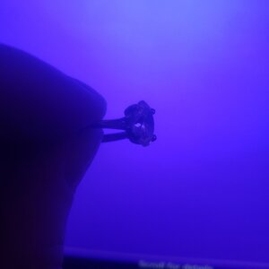 20210221_194027.jpg