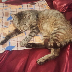 20210212_003141.jpg
