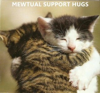 mewtual-support-hugs.jpeg