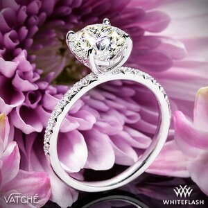 Vatche-Charis-Pave-Diamond-Engagement-Ring-in-Platinum-from-Whiteflash_44529_23760_g-21824.jpg