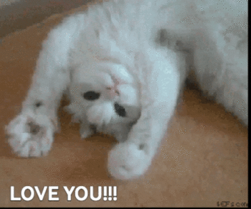 loveyou.gif