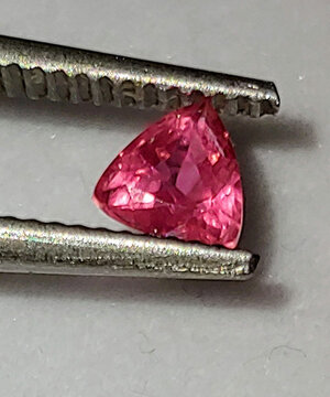 5c474922f3963.jpg