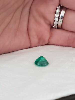 20210312_123813.jpg
