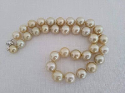 golden-natural-color-south-sea-pearls-12-14-mm-the-south-sea-pearl-259958.jpeg