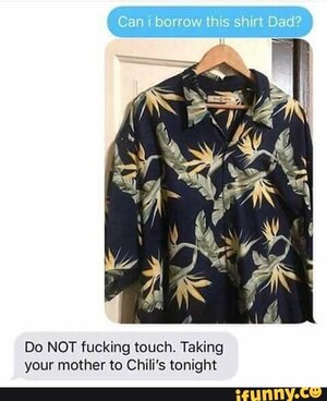 hawaiian shirt meme.jpg