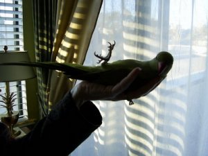 walhandshotresize3.jpg