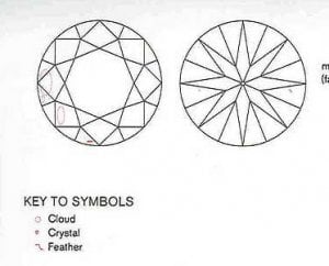 Feather copy.jpg Feather copy.jpg