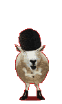 sheep.gif