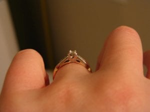 IMG_0254.JPG IMG_0254.JPG