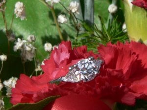 ring8morefunfun123.jpg ring8morefunfun123.jpg