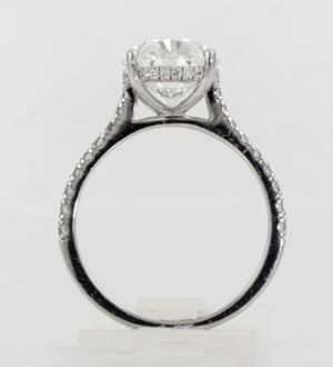 Ring 1.png