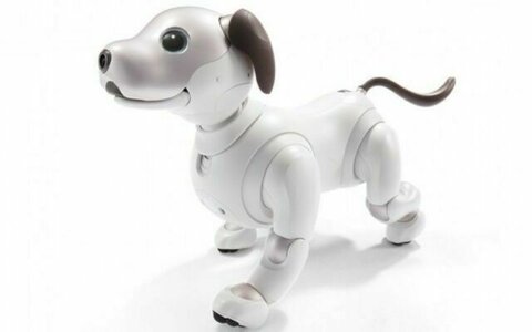Aibo.jpg Aibo.jpg