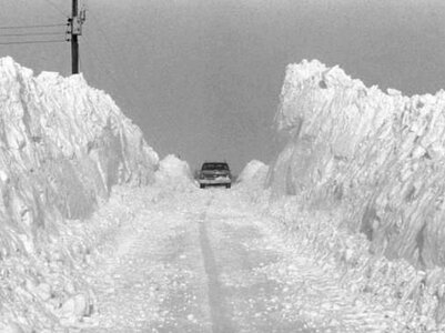 winter79.jpg