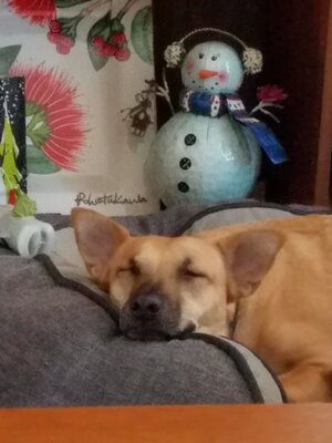20181225_104417.jpg