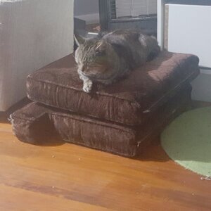 20201103_223309.jpg