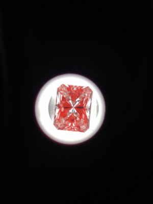 1619016652389.png