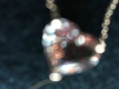 B1C9C320-A31C-41F3-842A-5130ABE3989B.jpeg
