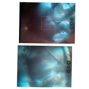 4CD35E3A-D391-4C0E-A32D-6EB21A2DFA55.jpeg