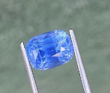 IMG_0870.jpg