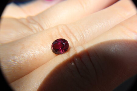 295Rhodolite.JPG