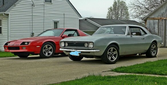 camaro's_LI.jpg