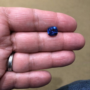 IMG_8826.jpeg