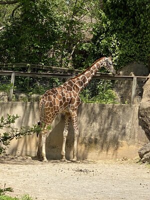 F060EB86-5EDA-43F1-AA8F-584A37ECF58C.jpeg