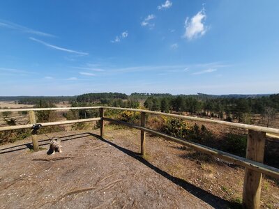 Birchwood_Apr2021_06.jpg