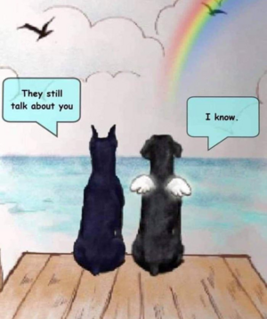 1620866621297.png