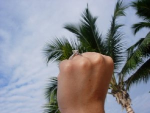 skypalm.jpg