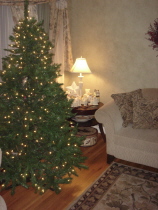 mdtree06.JPG