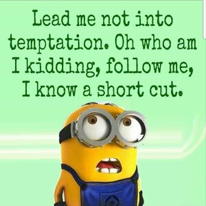 389543-Lead-Me-Not-Into-Temptation.-Oh-Who-Am-I-Kidding-Follow-Me-I-Know-A-Short-Cut.jpg