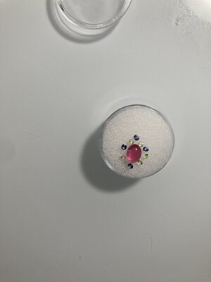 B7B48385-05E1-4B47-8BCD-AB8A253C2AF3.jpeg