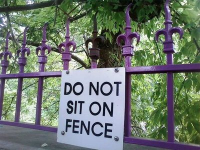 fence.jpg
