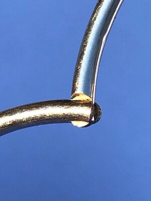 IMG_7183.jpeg