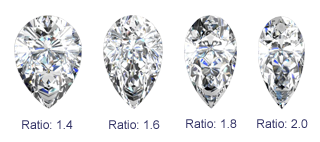Pear 1 L-W.png