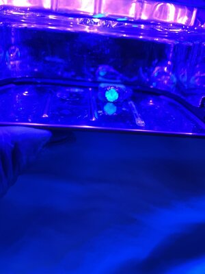 05160162-C920-43E6-86B0-EAFA82246070.jpeg