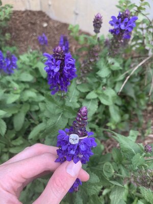 E63FC640-ED55-4F00-9B4E-664ACE28D42E.jpeg