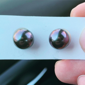 Aubergine_IG_1.png Aubergine_IG_1.png