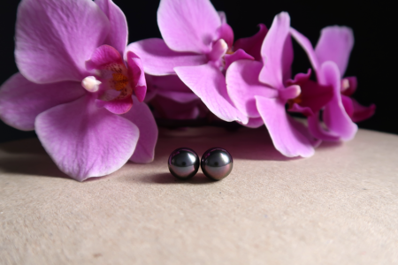 Aubergine_1.png Aubergine_1.png