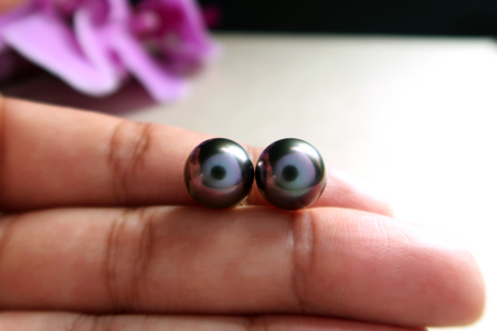 Aubergine_2.png