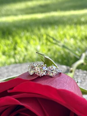 IMG_0400.jpg