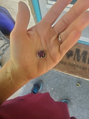 20210619_125546.jpg