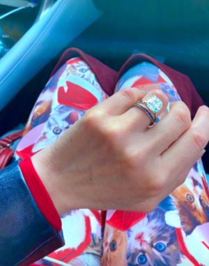 christmaskittyleggingsincar.png