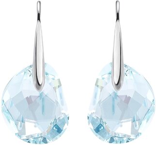 Swarovski earrings.jpg