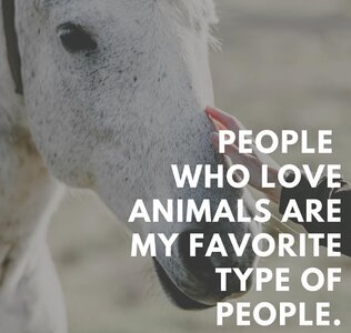 peoplewholoveanimals.jpg