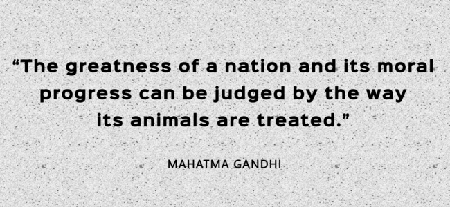 greatness-and-moral-quote-of-gandhi.png